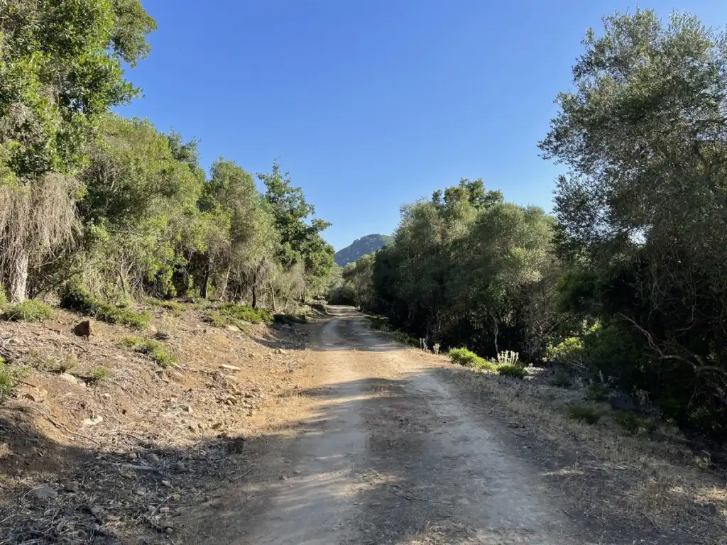 Exterior view of Country homes for sale in Castellar de la Frontera  with Private garden