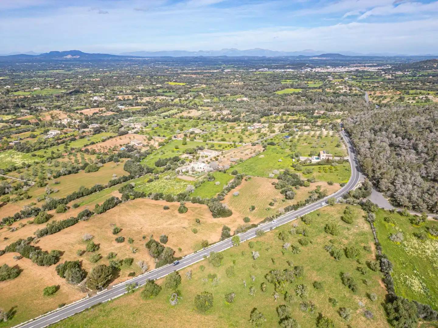 Rural land for sale in Felanitx Poble, imagen 20