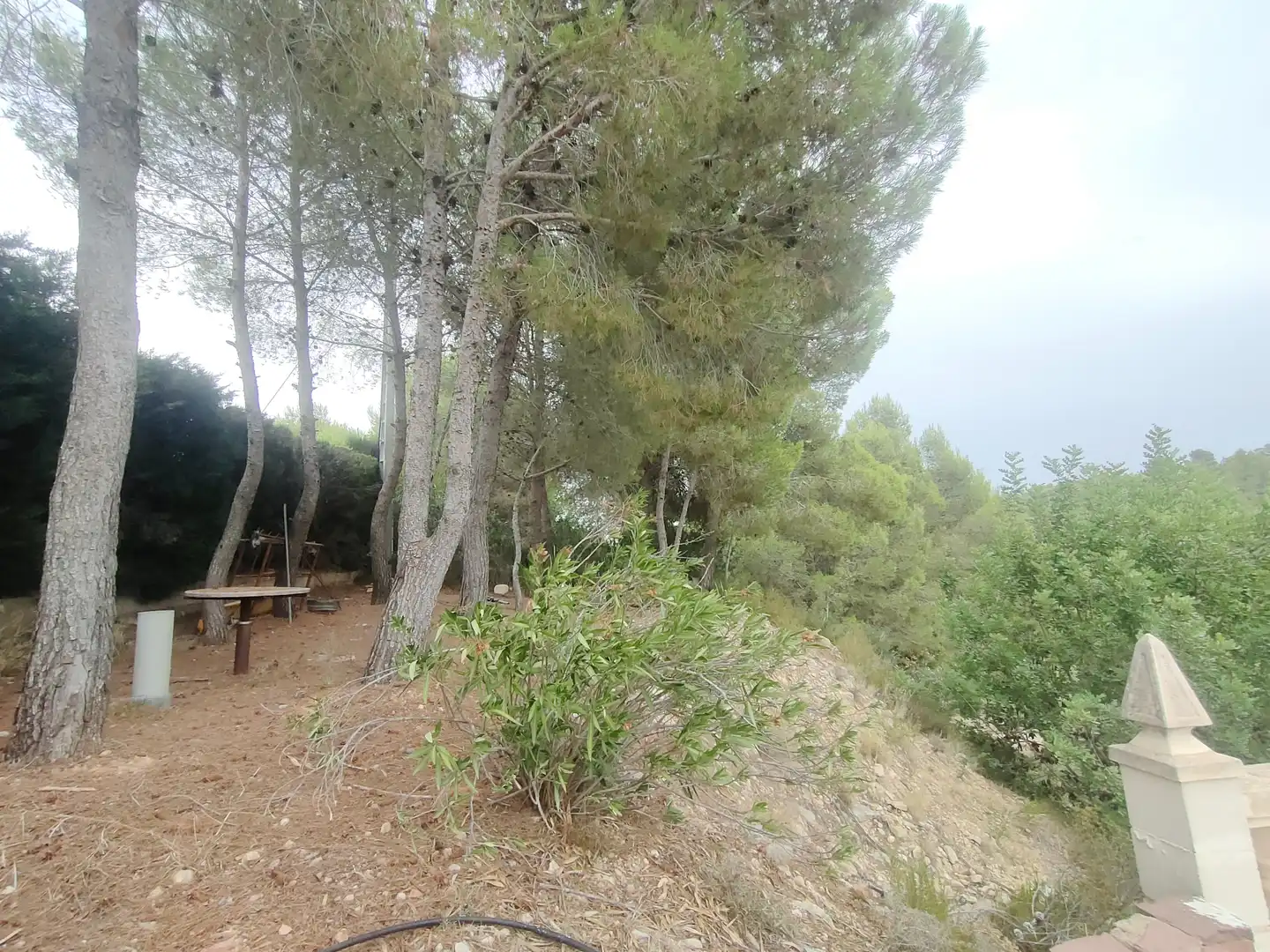 Casa o chalet en venta en Turís con Jardín privado, Terraza y Trastero