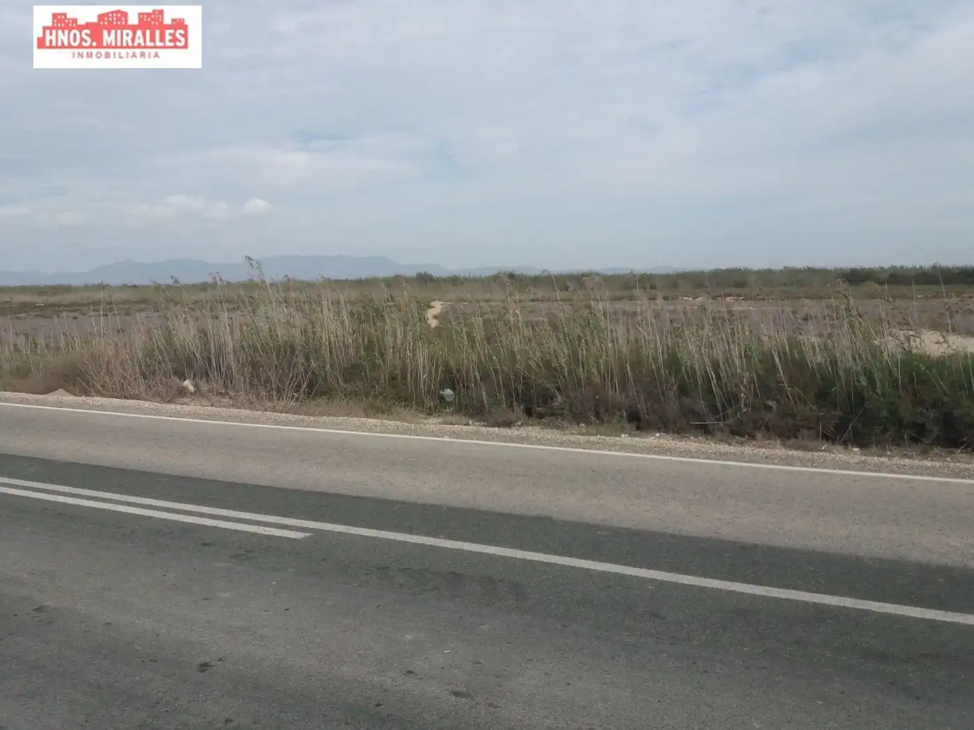 Finca rústica en venta en Elche / Elx