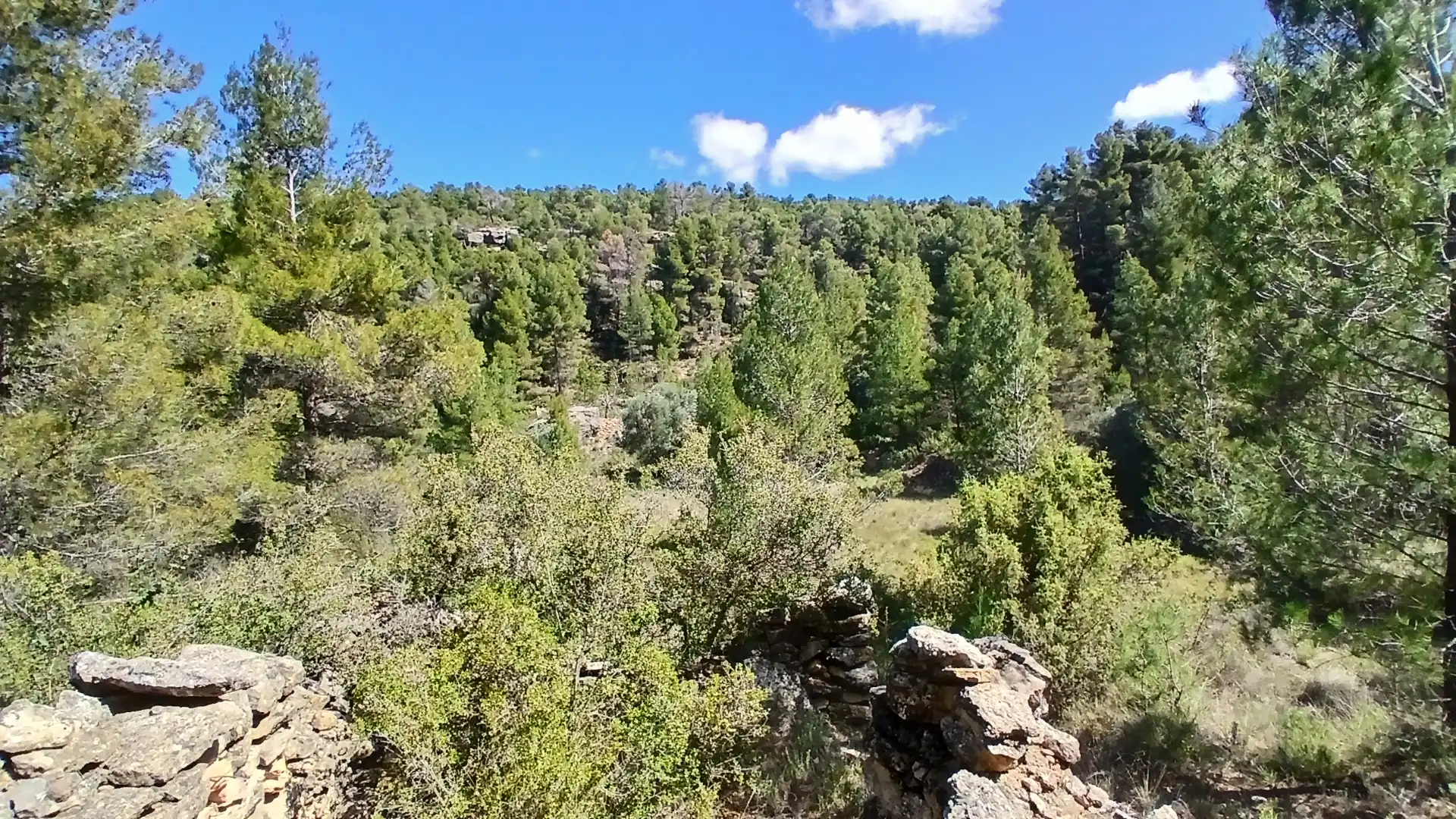 Terreno en venta en Fórnoles