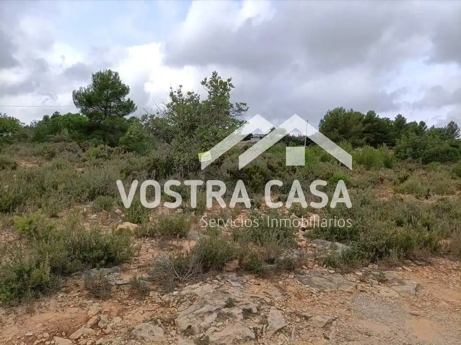 Terreno rustico in vendita a LOMA CABALLEROS, imagen 6