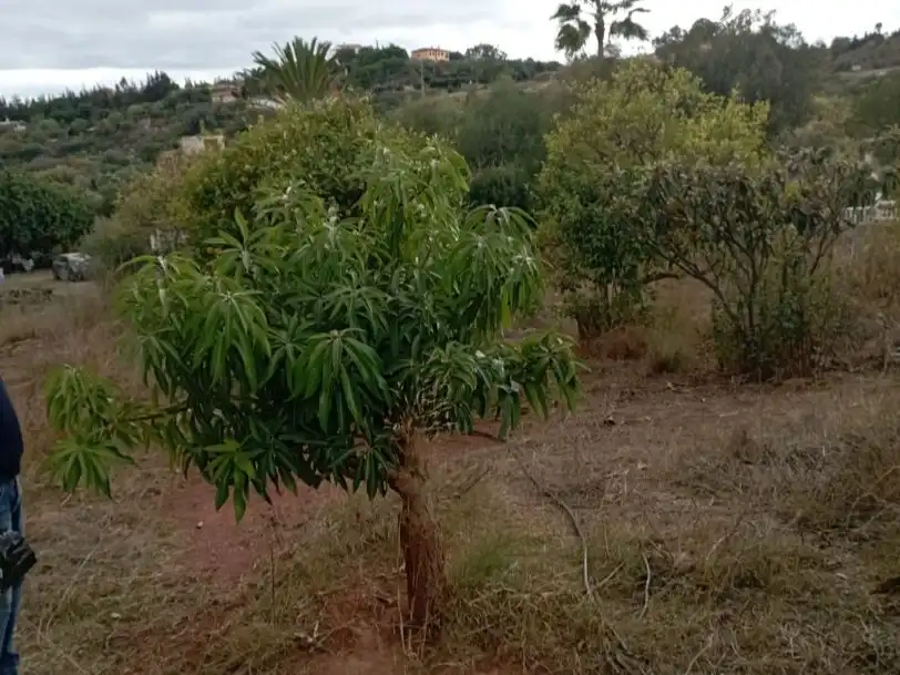 Terreno en venta en Estepona