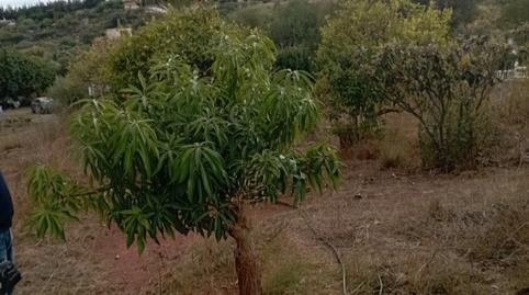 Photo 5 of Land for sale in Calle Río Padrón, Cancelada, Estepona