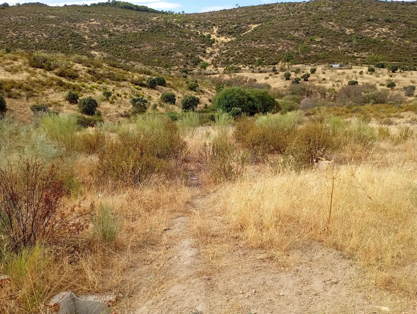 Terrenos y solares en venta en Robledo de Chavela, imagen 11
