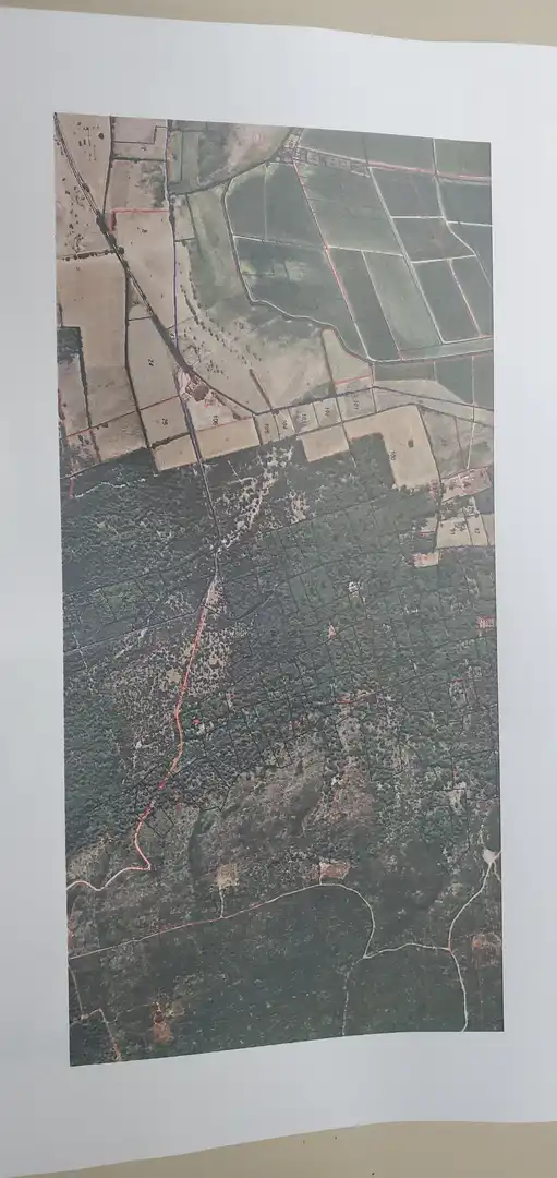 Terreno rústico en venta en Torre Vella - Torre Gran - Les Dunes, imagen 5