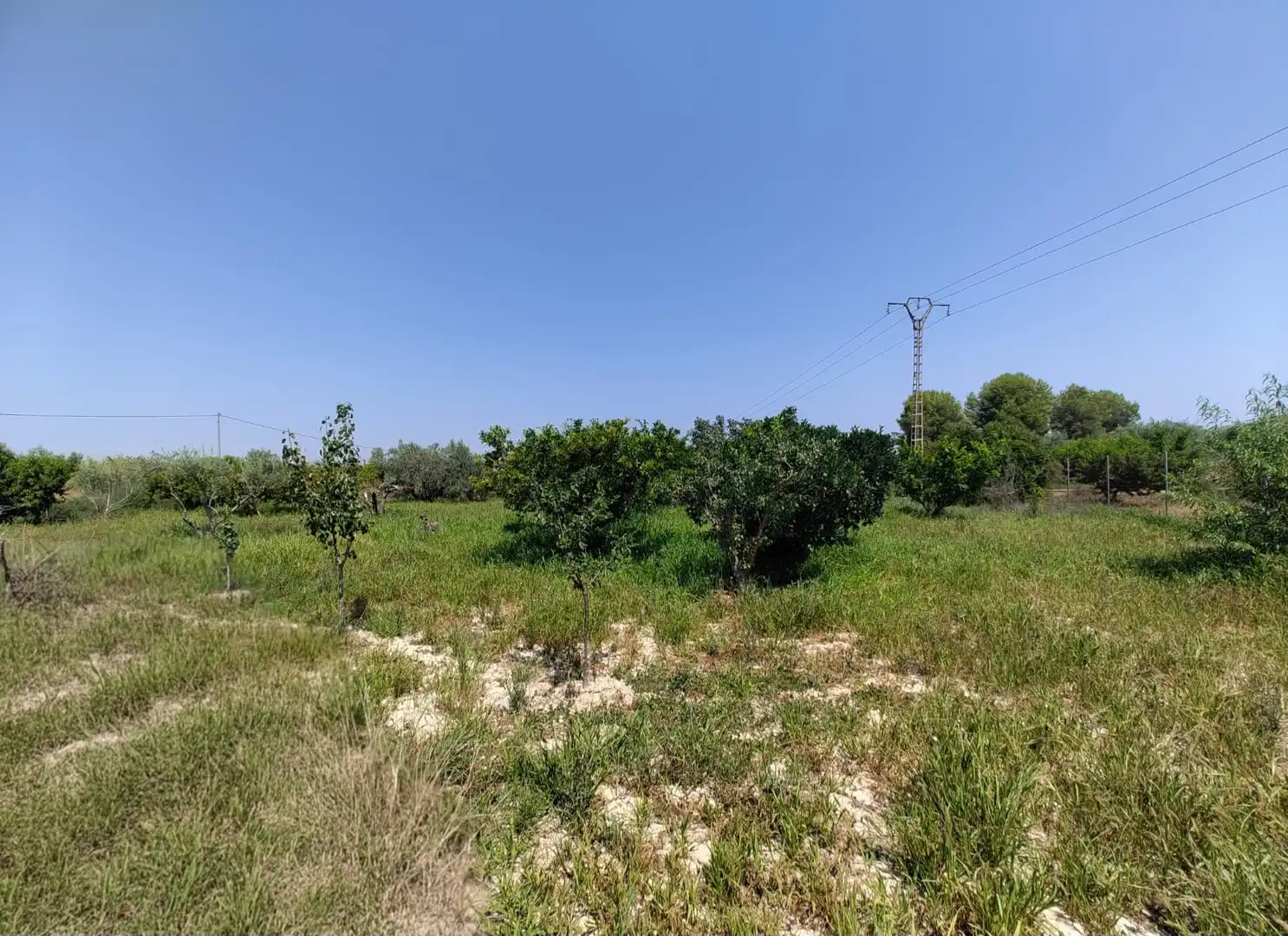 Terreno en venta en Las Torres de Cotillas