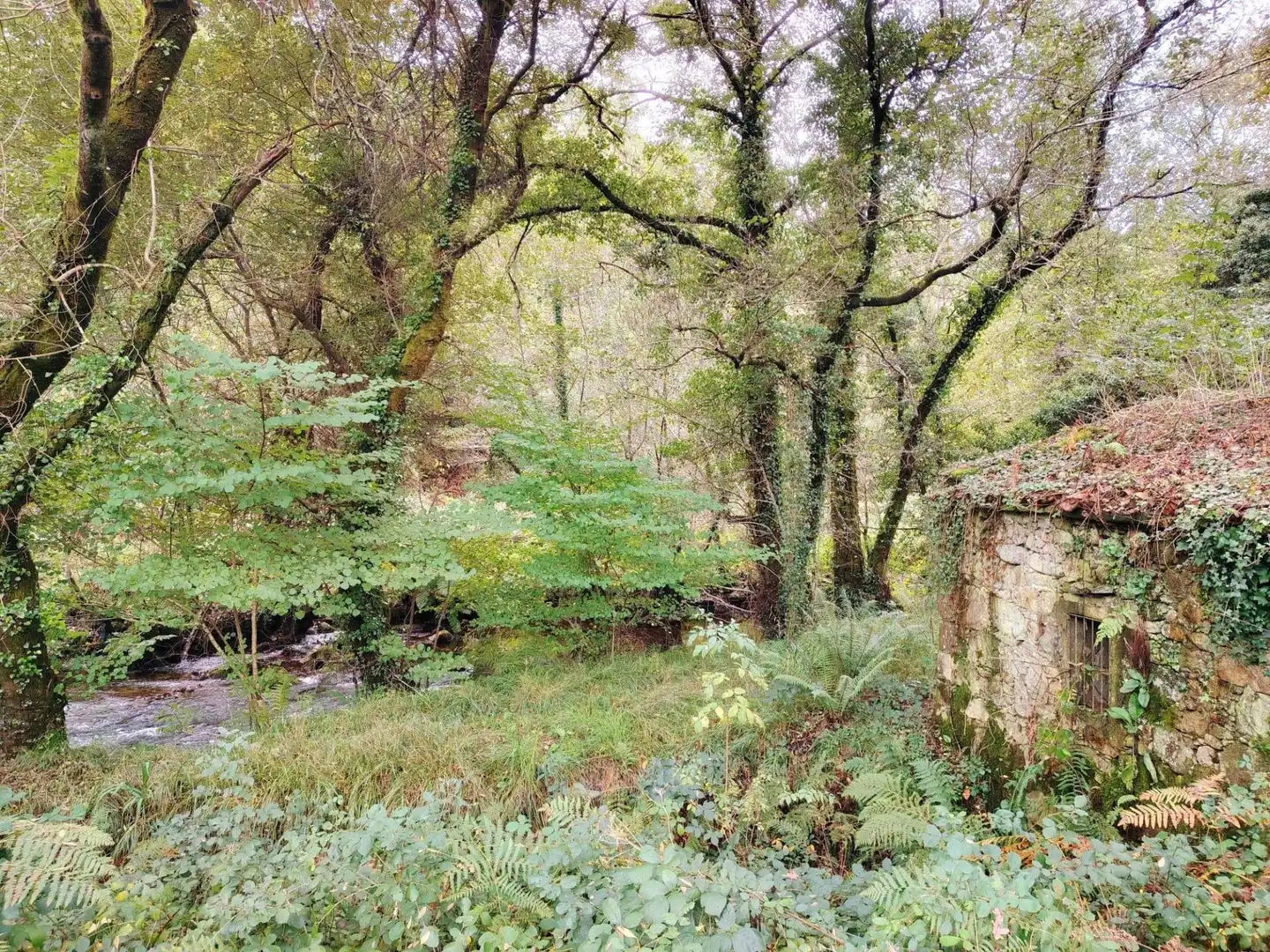Country homes for sale in Negreira