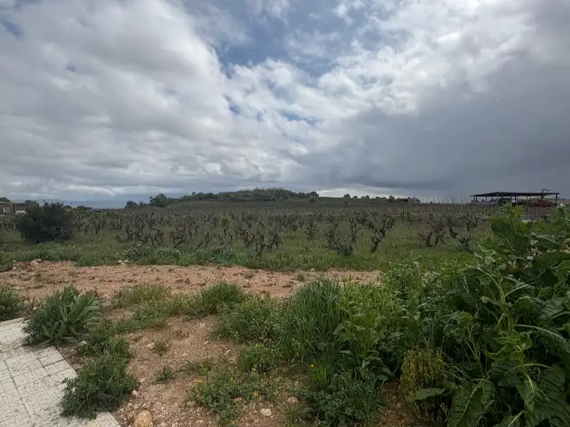 Wohnbaugrundstück zum Verkauf in Carretera de l'Alzinar 17, imagen 3