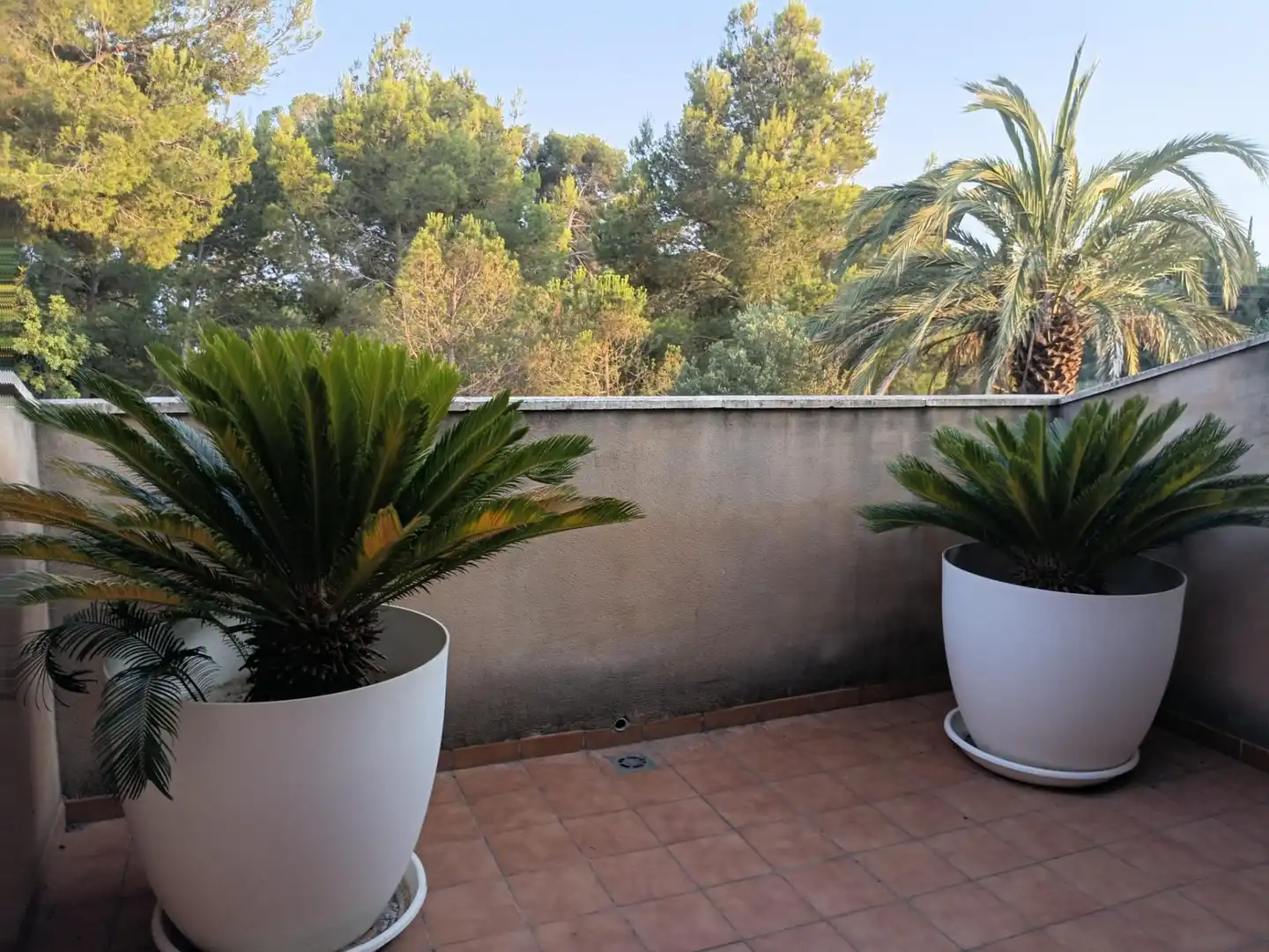 Terraza de Casa o chalet en venta en Cambrils con Calefacción, Terraza y Piscina