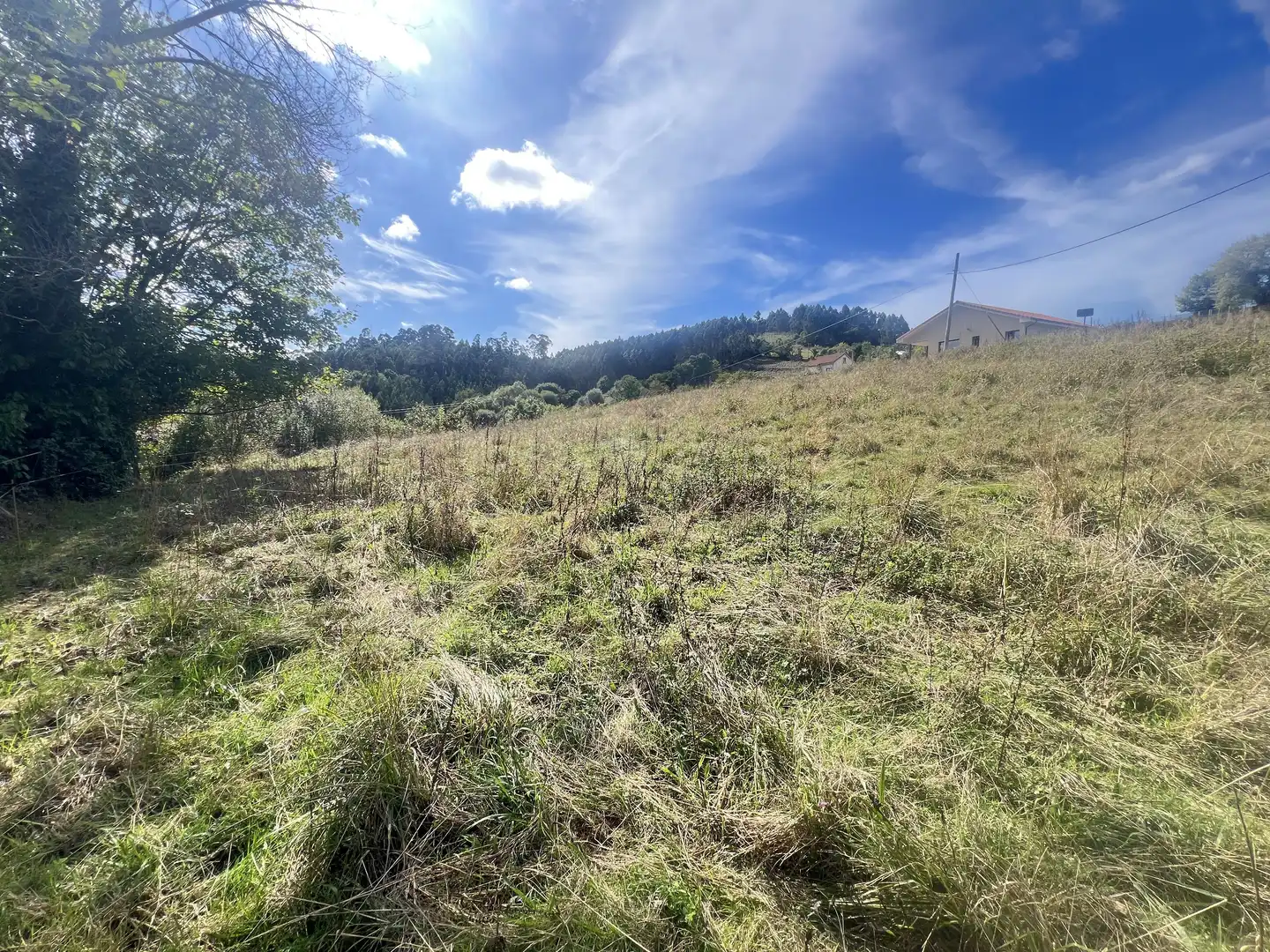 Lands and plots for sale in Pillarno, imagen 10