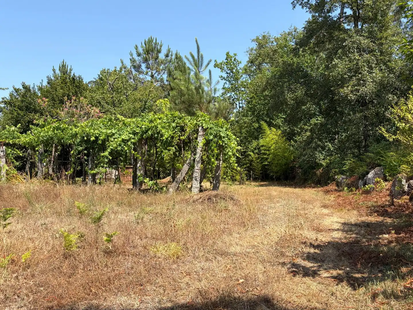 Casa o xalet en venda en Salvaterra de Miño amb Jardí privat i Parquet