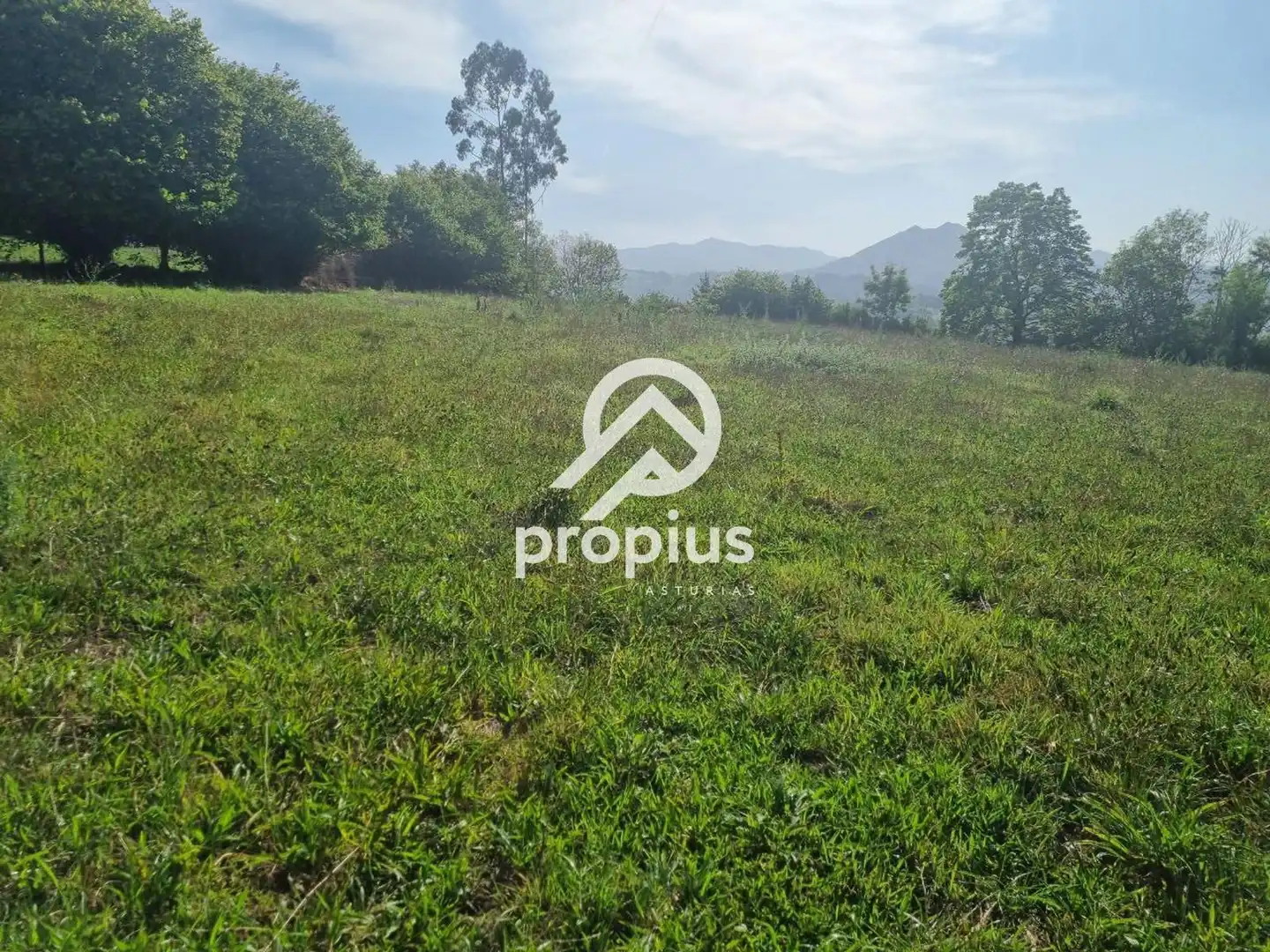 Rural land for sale in Arenas, imagen 21