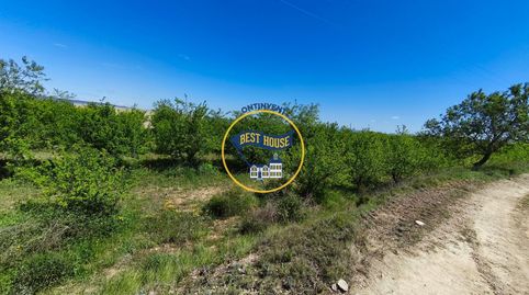 LOTE DE DOS PARCELAS DE TERRENO EN CULTIVO Y NAVE DE 224 m2 CON AGUA Y LUZ EN ALBAIDA., immagine 5