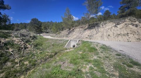 Foto 3 de Terreny en venda a Millena, Alicante