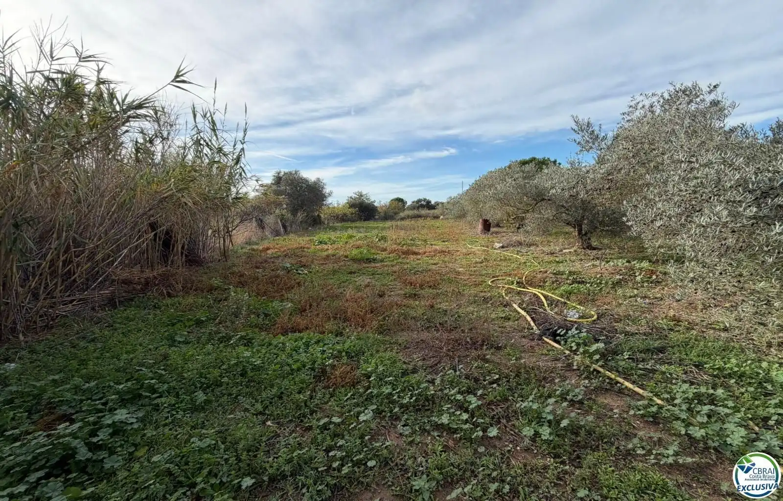 Terrenys i solars en venda a TORRE DEL VIENTO, imagen 14
