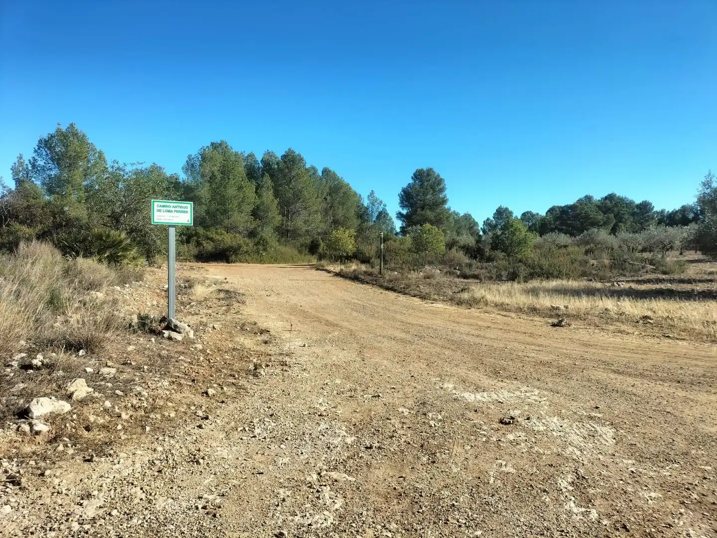Terreno rustico in vendita a Polígono 7 Parcela 82 LOMA FERRER. NAVARRES (VALE 7, imagen 15