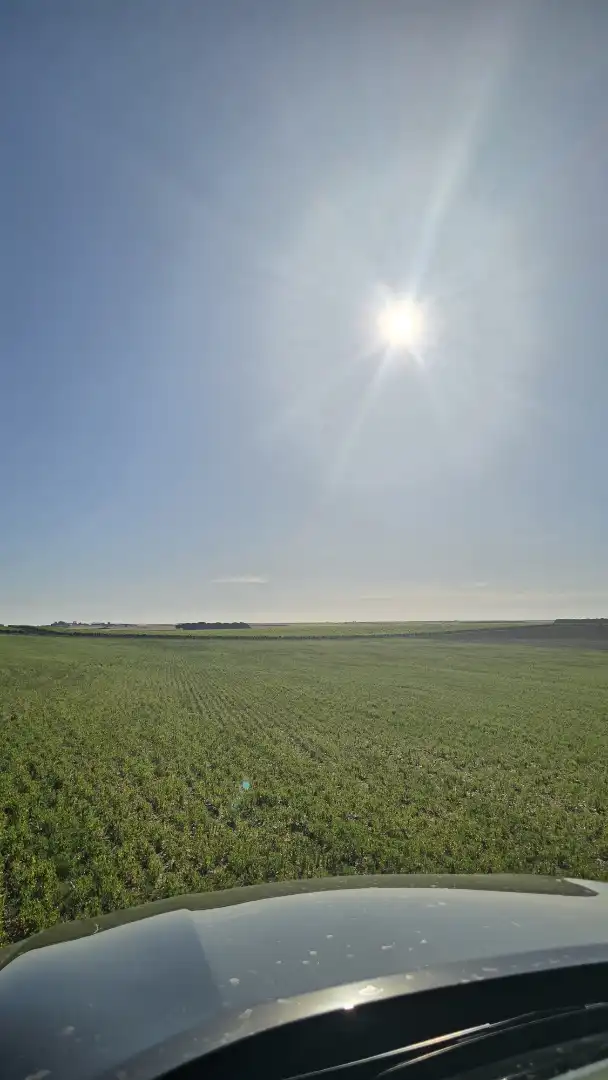 Terreno rustico in vendita a Ontígola, imagen 9