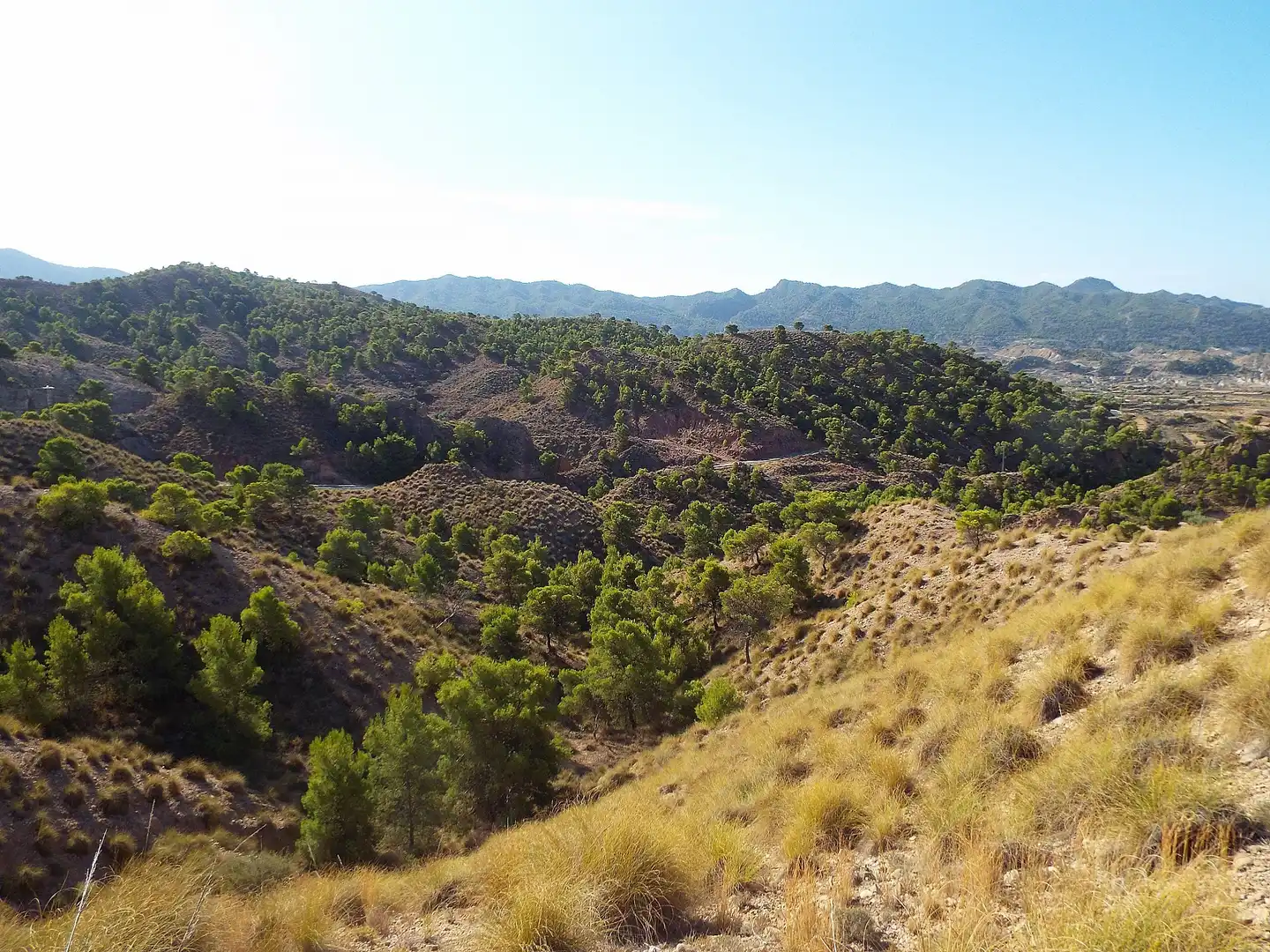 Lands and plots for sale in Abanilla, imagen 6