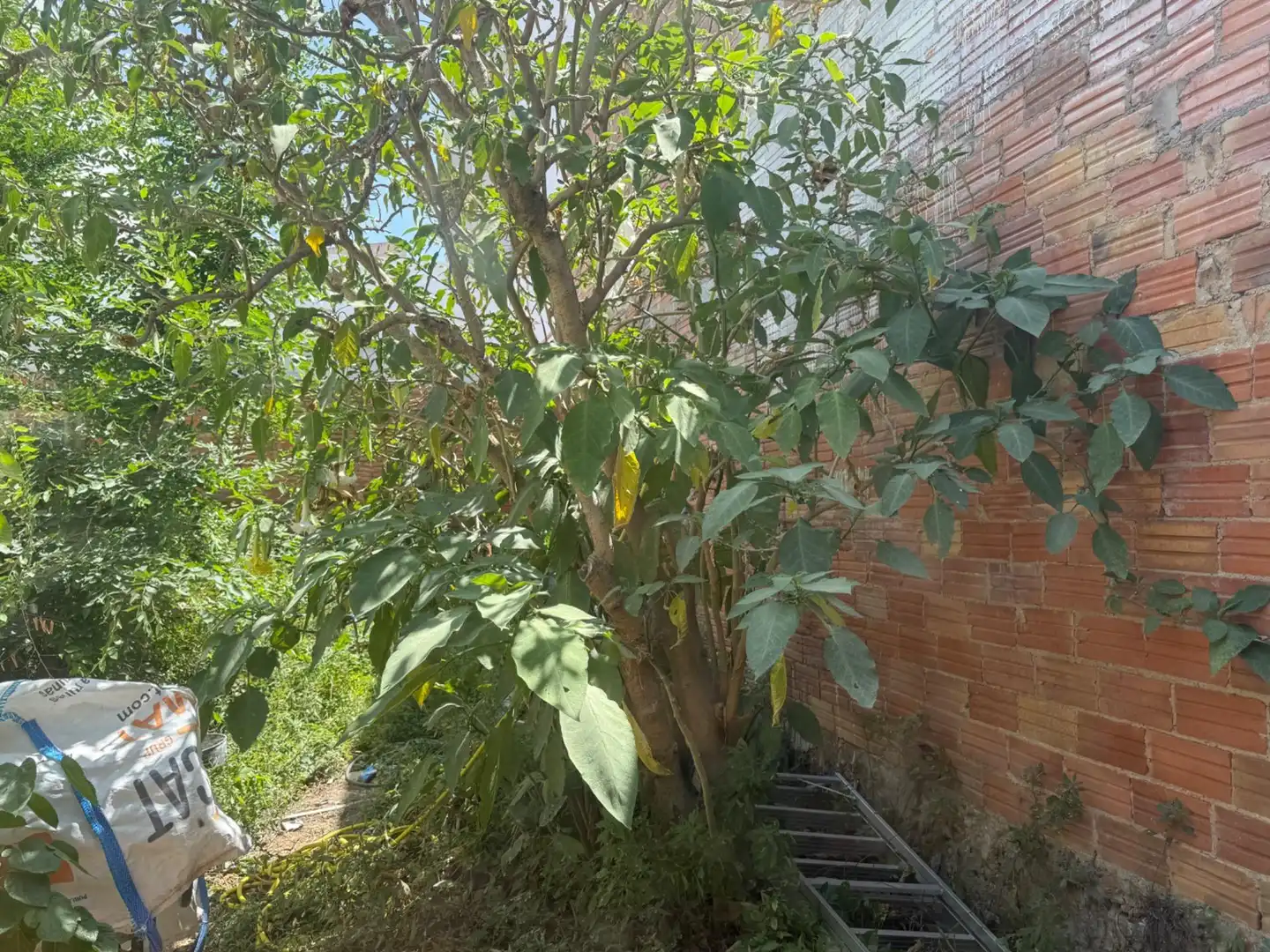 Jardín de Residencial en venta en Sant Pere de Ribes