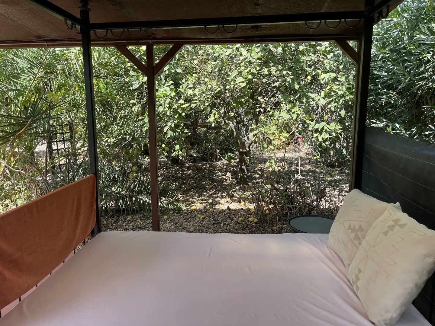 Finca rústica en venda a Diseminado Poligono 27, 78, Casalpalma - Fahala