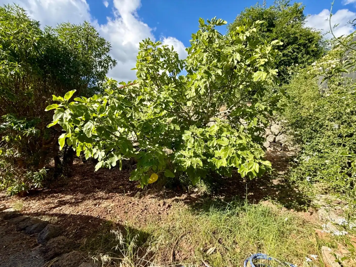 Country homes for sale in Sóller  with Air Conditioner, Heating and Private garden