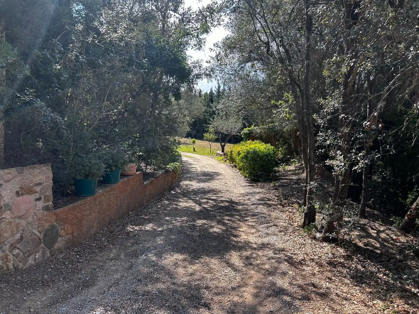 Vista exterior de Finca rústica en venta en Palamós con Jardín privado