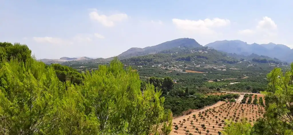 Residential land for sale in Carrer del Tallat Roig, imagen 6