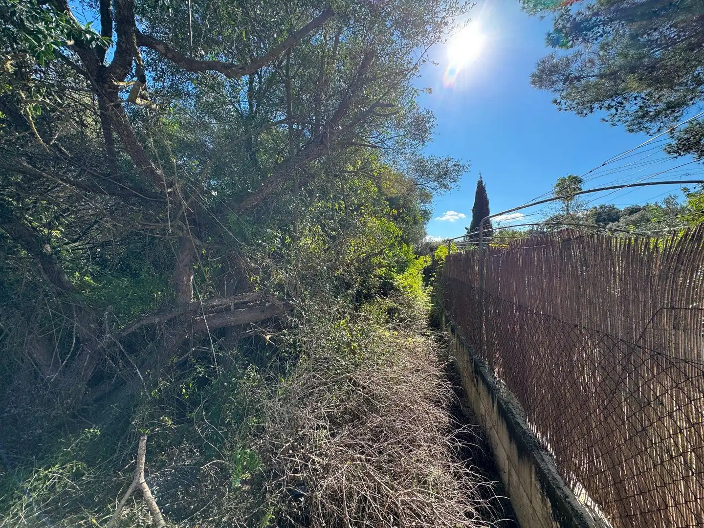 Wohnbaugrundstück zum Verkauf in Sa Pobla, imagen 4