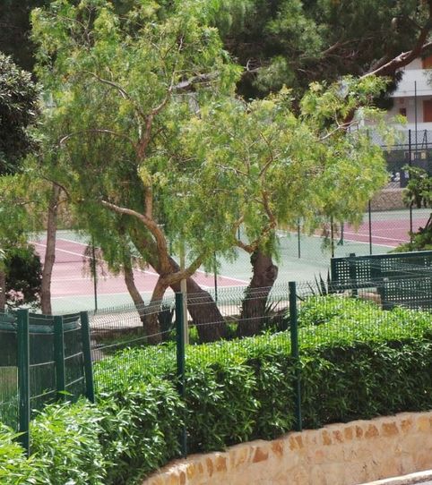 Foto 2 de Estudio en venta en Avenida de París, 12, Rincón Alto, Benidorm