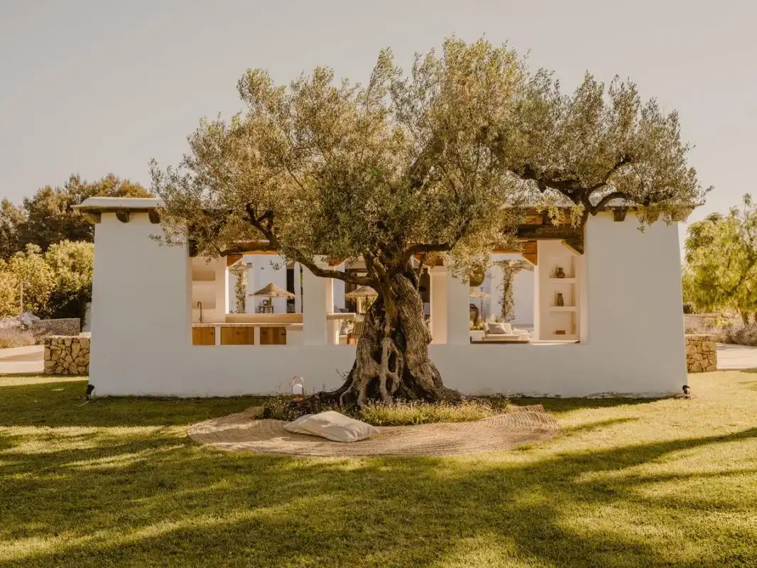 Maison avec terrasse à vendre à Santa Gertrudis, imagen 9