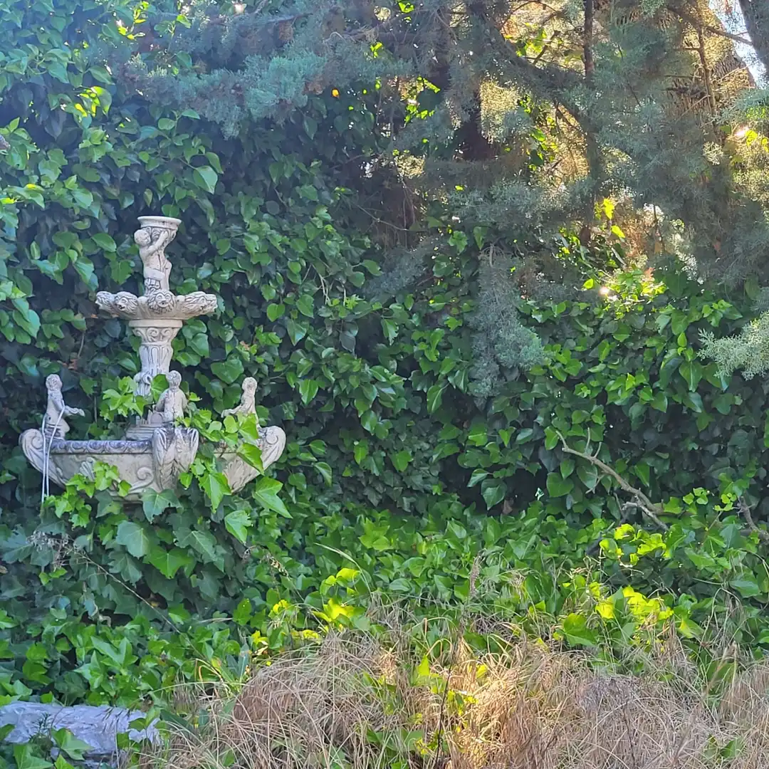 Jardí de Residencial en venda en Peñalba de Ávila