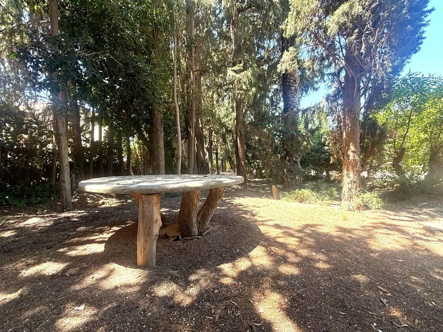Garden of Houses for sale in Elche / Elx
