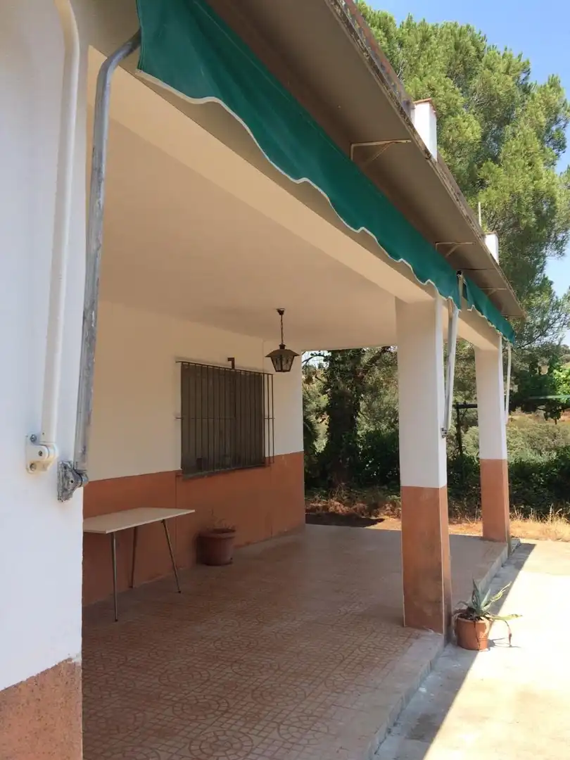 Maison avec terrasse à vendre à Campus Universitario, imagen 6