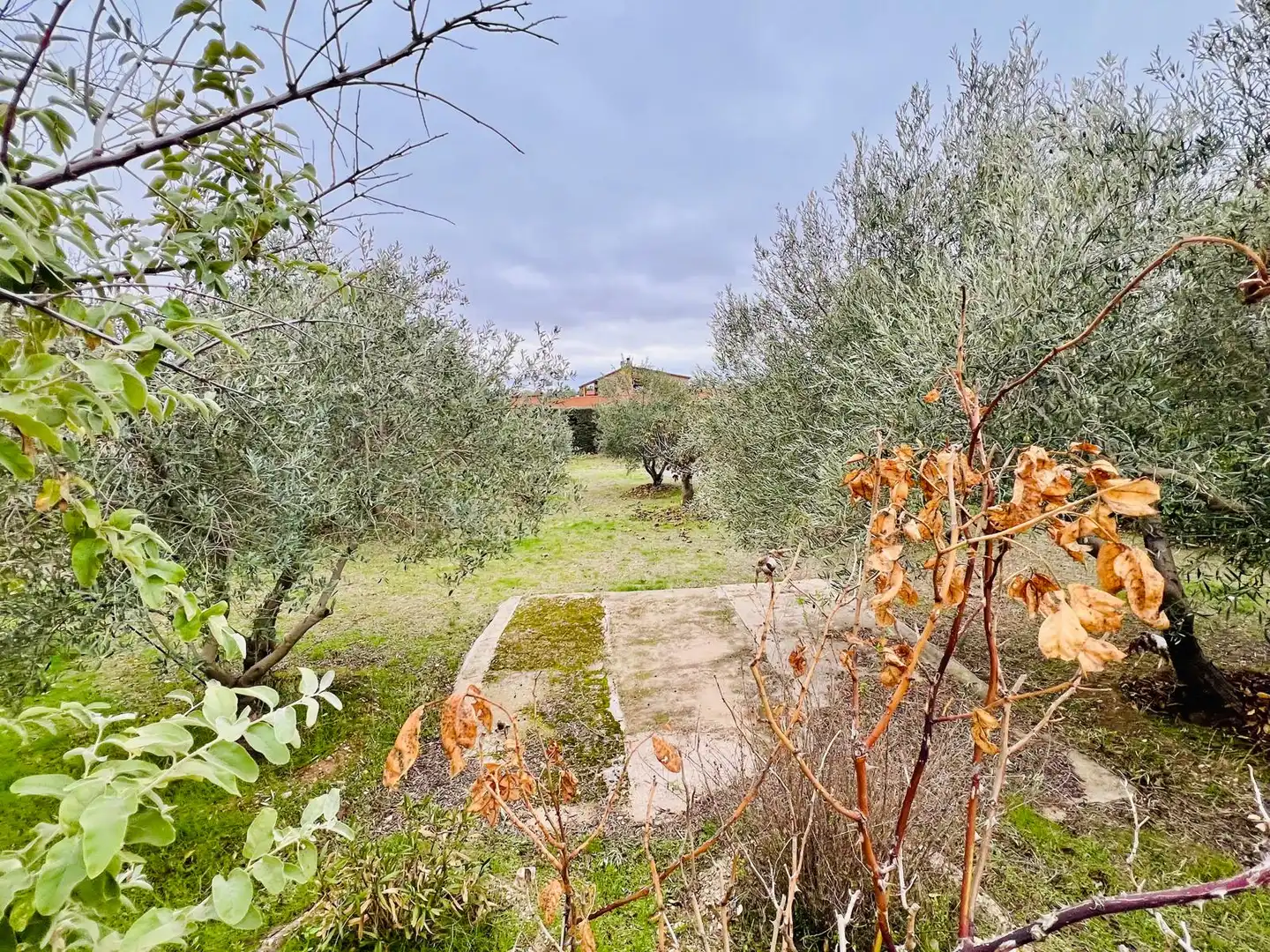 Finca rústica en venda en Illana amb Jardí privat i Moblat