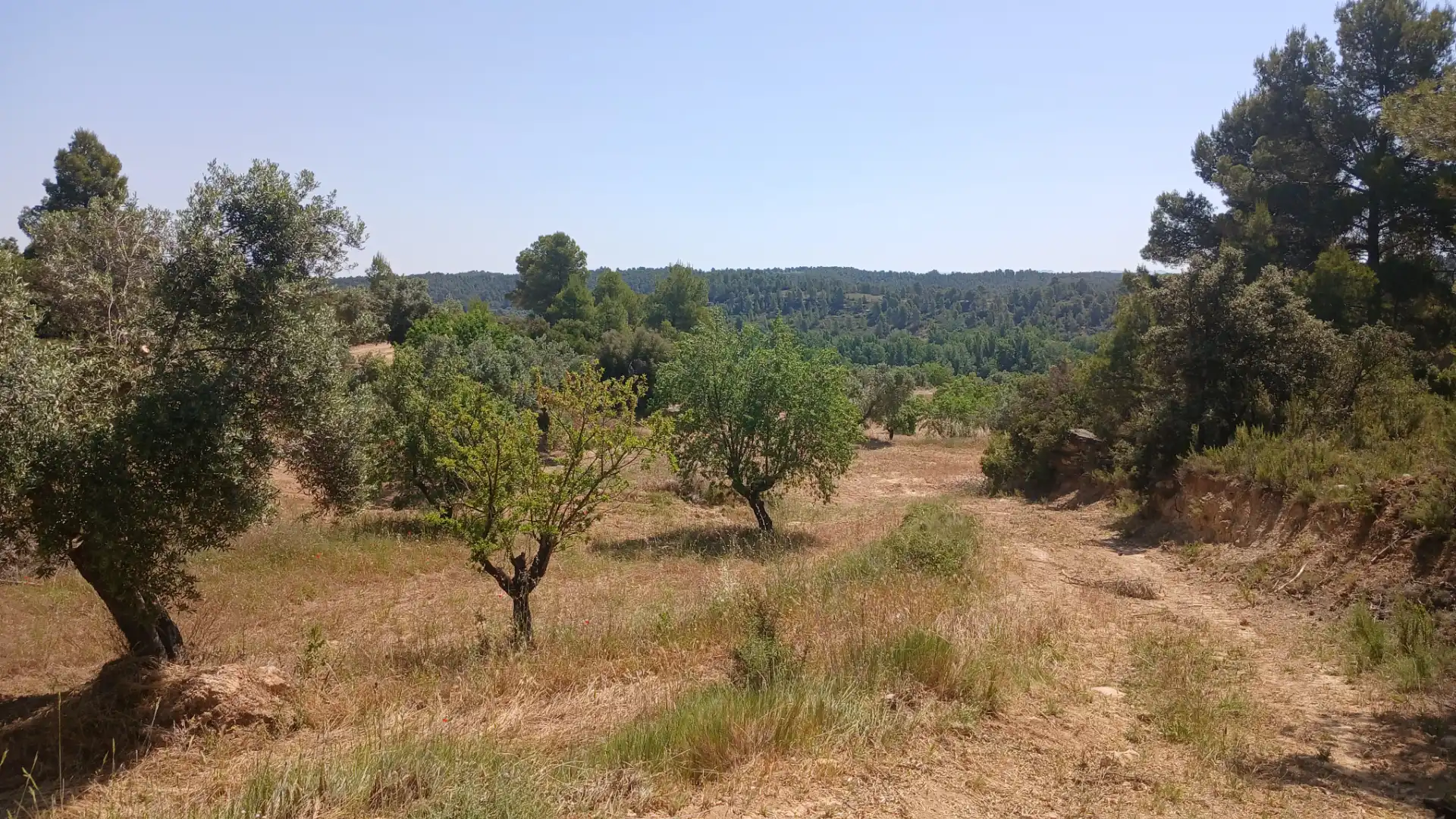 Terreno rustico in vendita a N/A, imagen 5