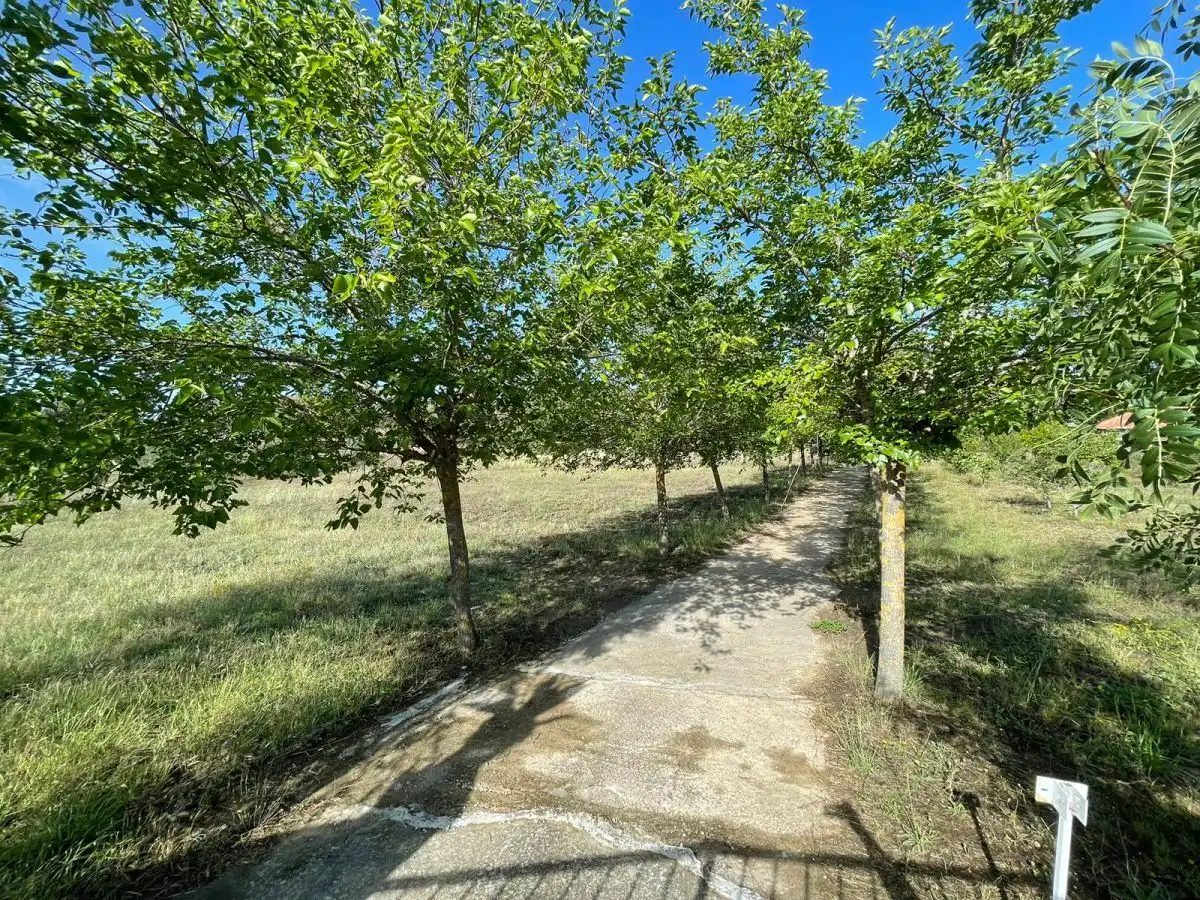 Terreni e lotti in vendita a Las Habazas, imagen 7