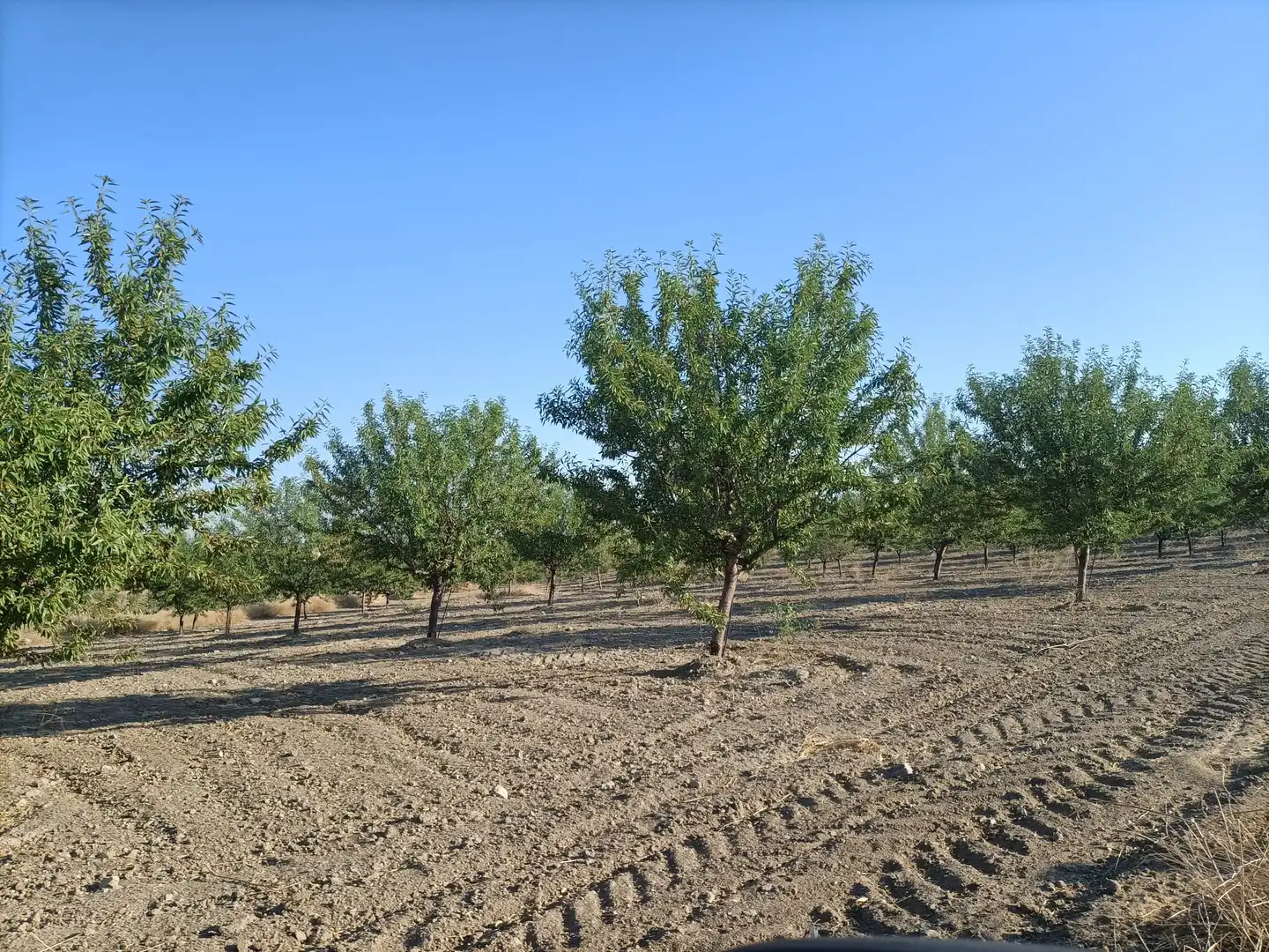 Terreno rustico in vendita a Nambroca, imagen 4