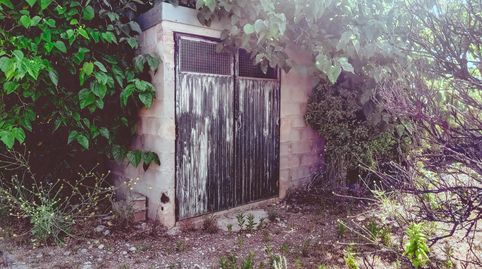 FINCA RUSTICA DE MADARINOS EN VENTA EN SANTA BARBARA TARRAGONA, immagine 3