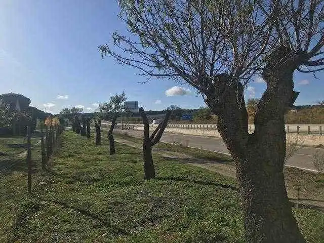Villa con giardino in vendita a Carabaña, imagen 2