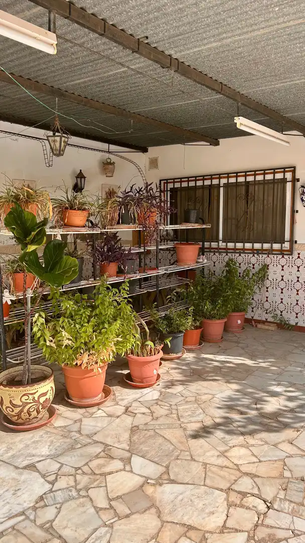 Jardín de Casa o chalet en venta en Albox con Calefacción, Jardín privado y Trastero