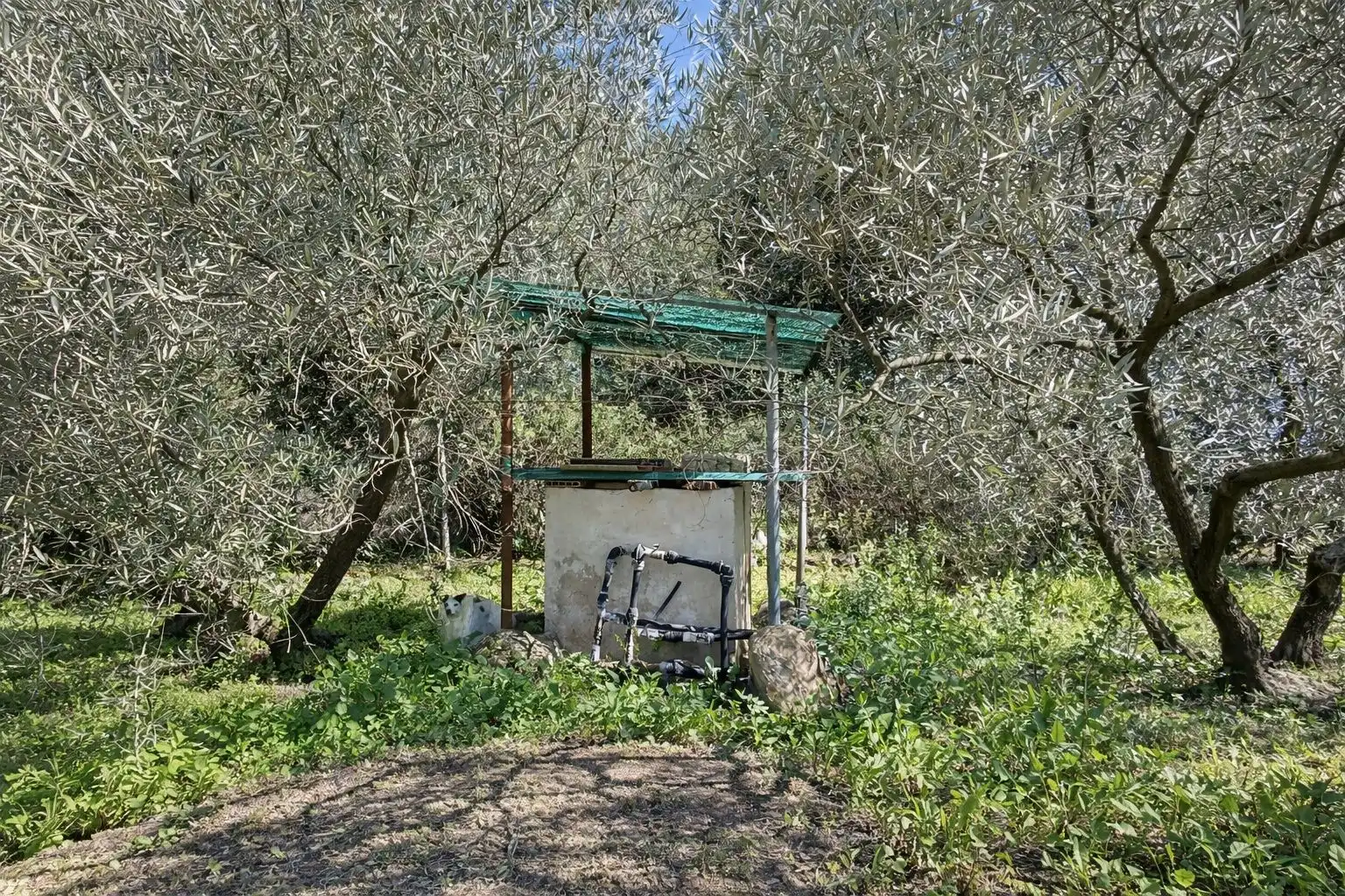 Jardí de Finca rústica en venda en Andújar amb Jardí privat i Terrassa