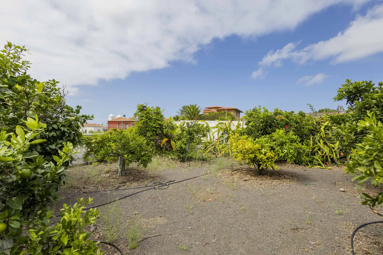 Casa con piscina en venta en Tegueste, imagen 64