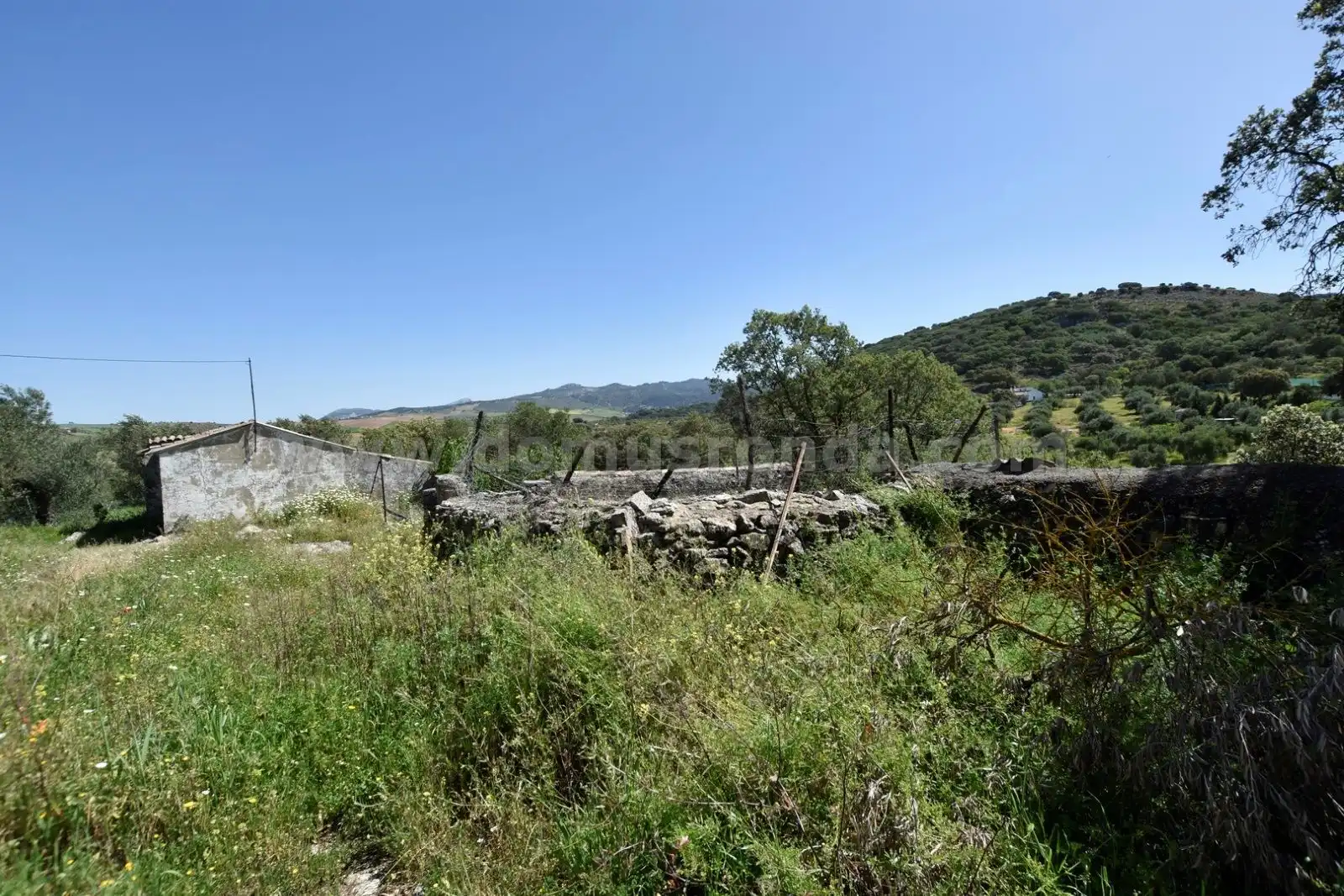 Finca rústica en venda en Ronda