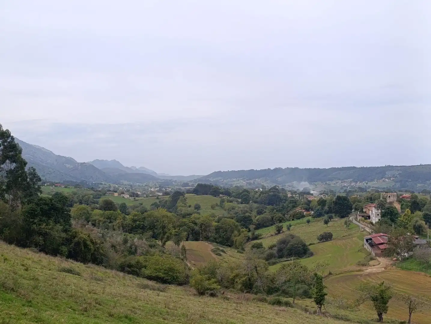 Rustikales Grundstück zum Verkauf in Carretera Piñera (Noriega) 0, imagen 22