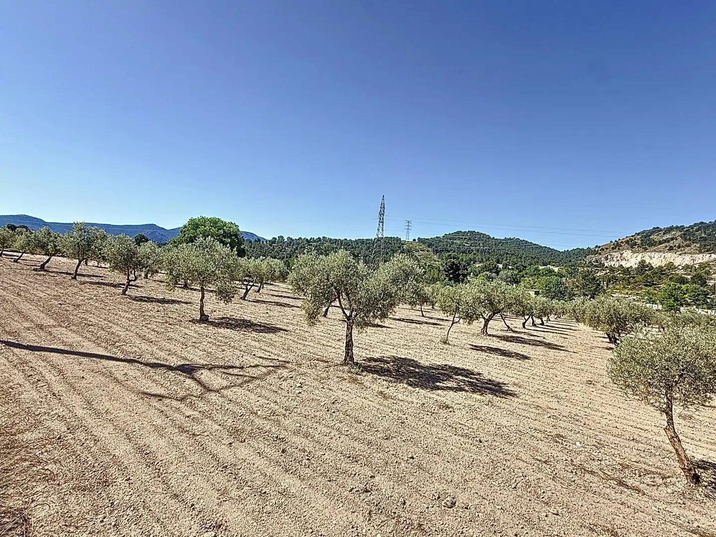 Terreno en venta en Biar
