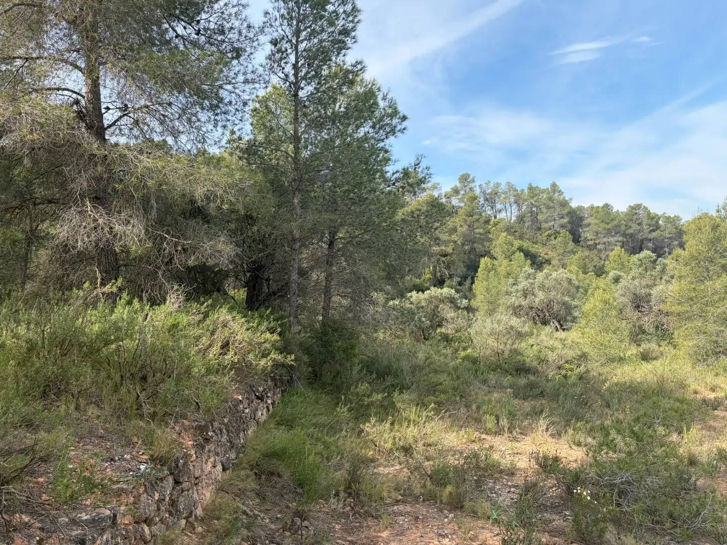 Terreno rustico in vendita a Ascó, imagen 4