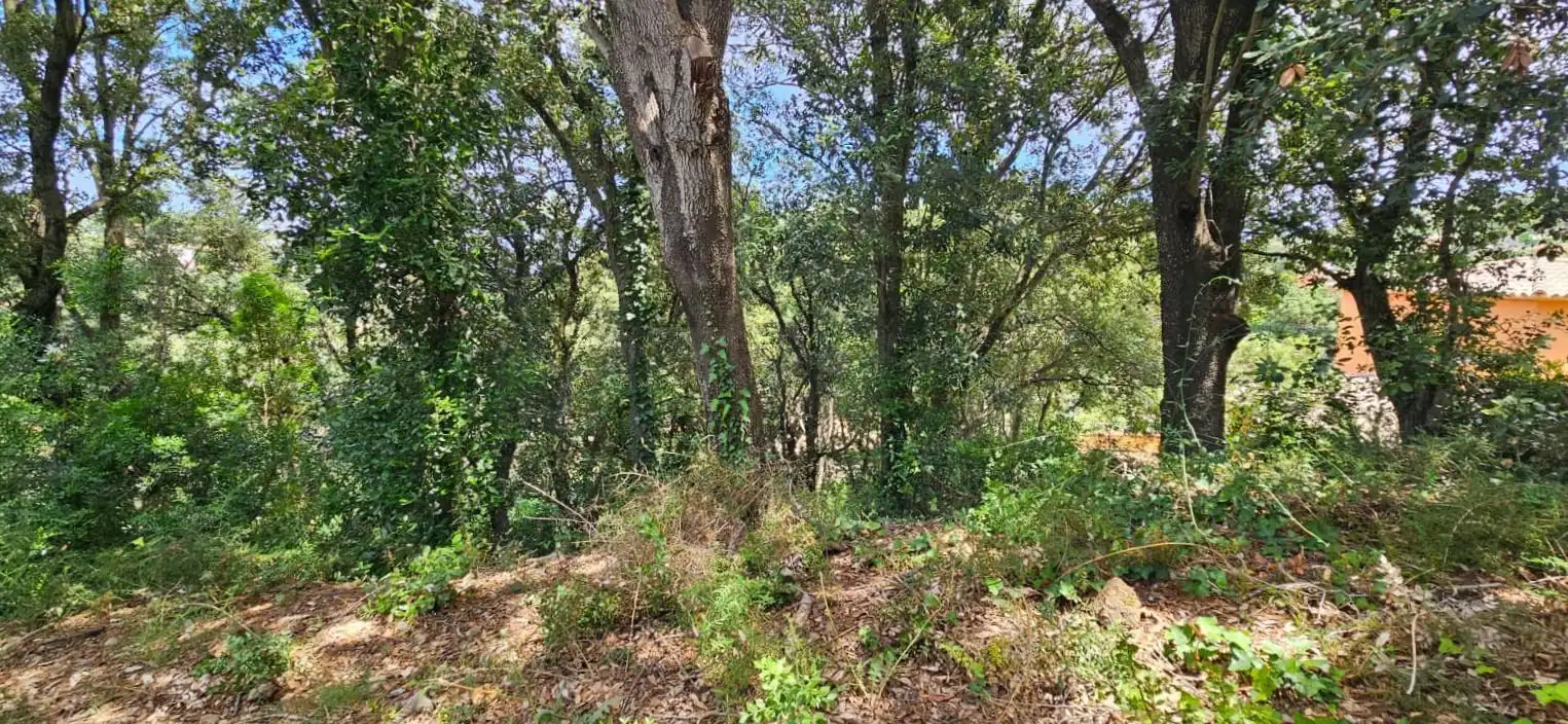 Terreny residencial en venda a Sa Riera - Sa Fontansa, imagen 7