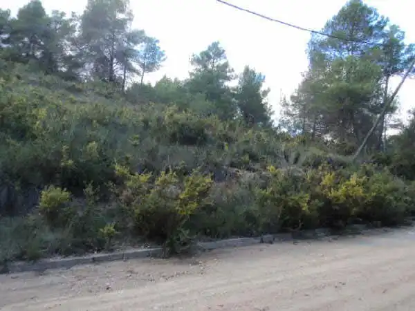 Terreno rustico in vendita a C/ Josep Plá, imagen 5