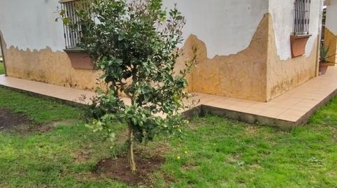 Foto 5 de Casa o chalet en venta en  del Glaciar, 1, Las Lagunas - Campano, Chiclana de la Frontera